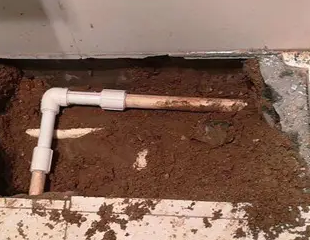 商都测漏水哪家好