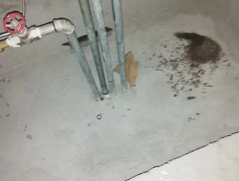 商都卫生间测漏水价格明细