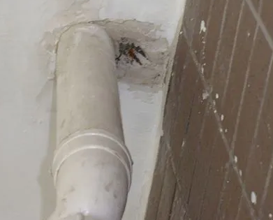 商都漏水检测哪家好